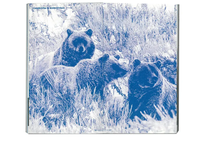 Book “Storytelling of the Nenets Malitsa”, image 51