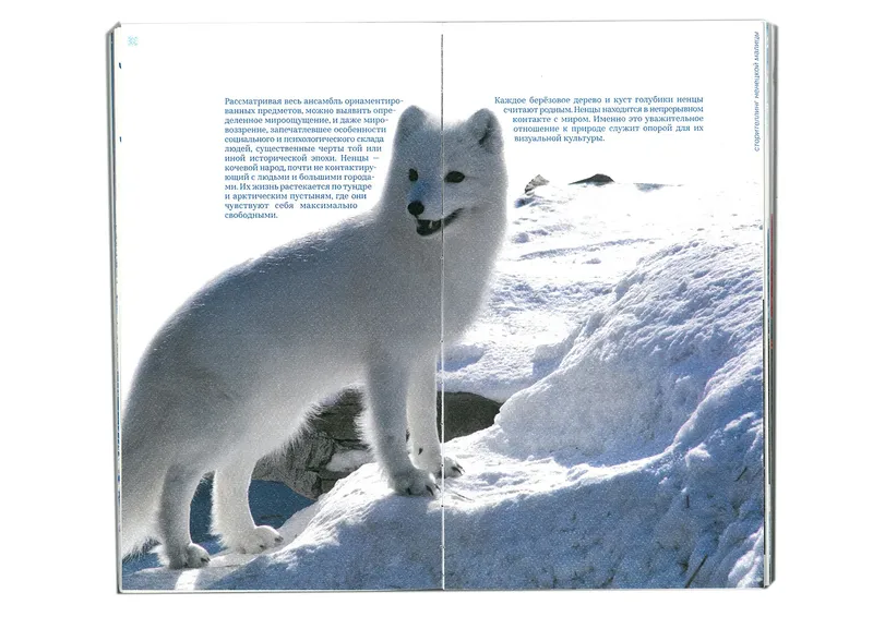 Book “Storytelling of the Nenets Malitsa”, image 54