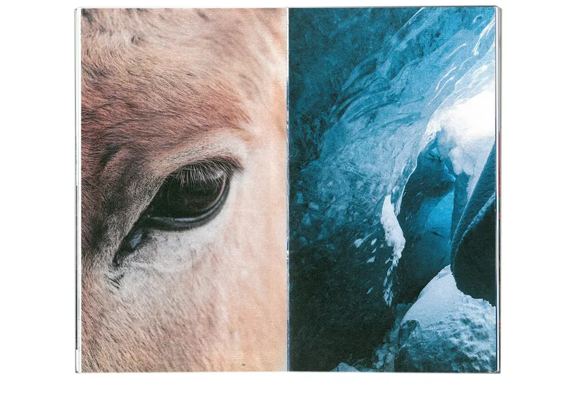 Book “Storytelling of the Nenets Malitsa”, image 65