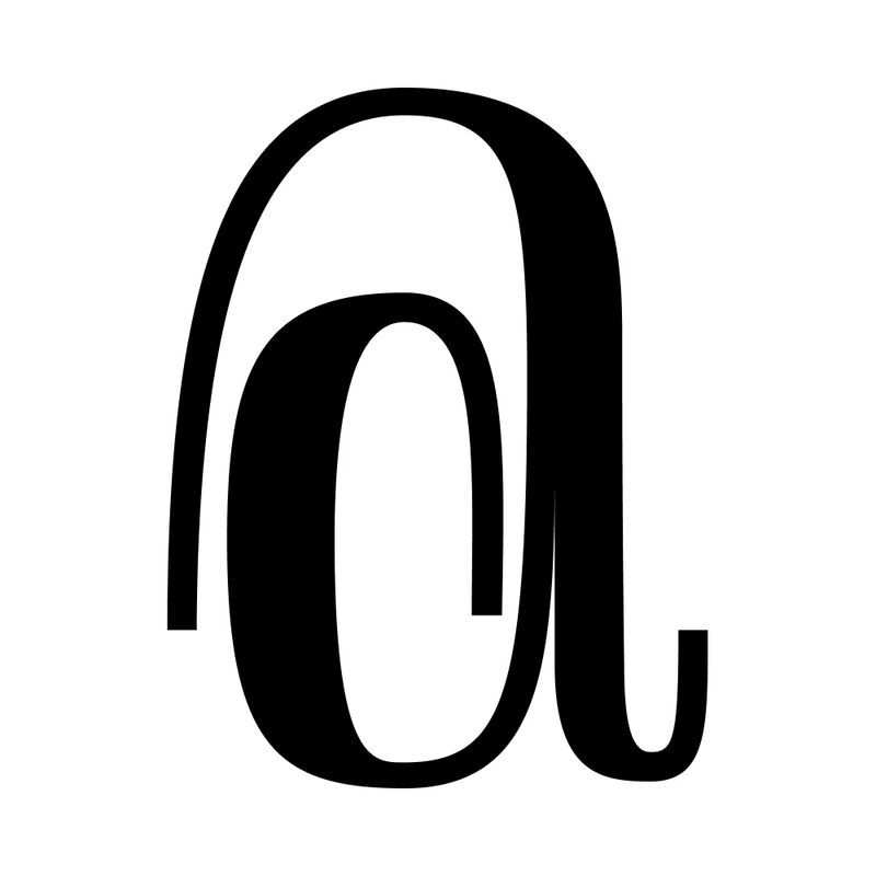 A × 100, image 12