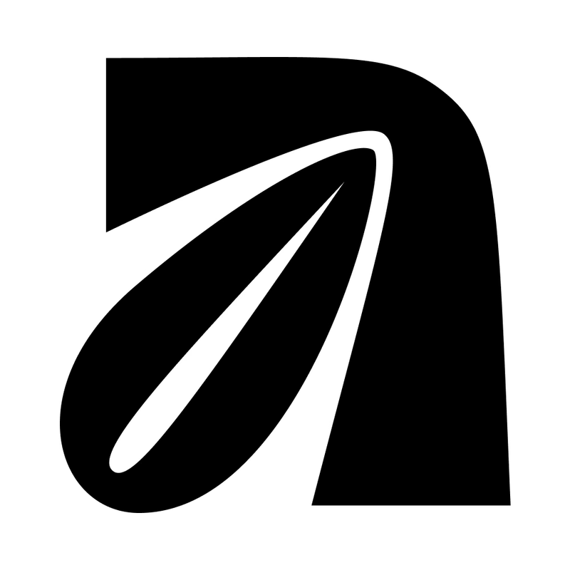 A × 100, image 4