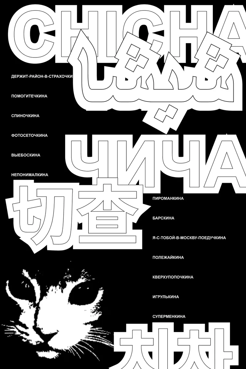 Posters with my cat Chicha, image 6