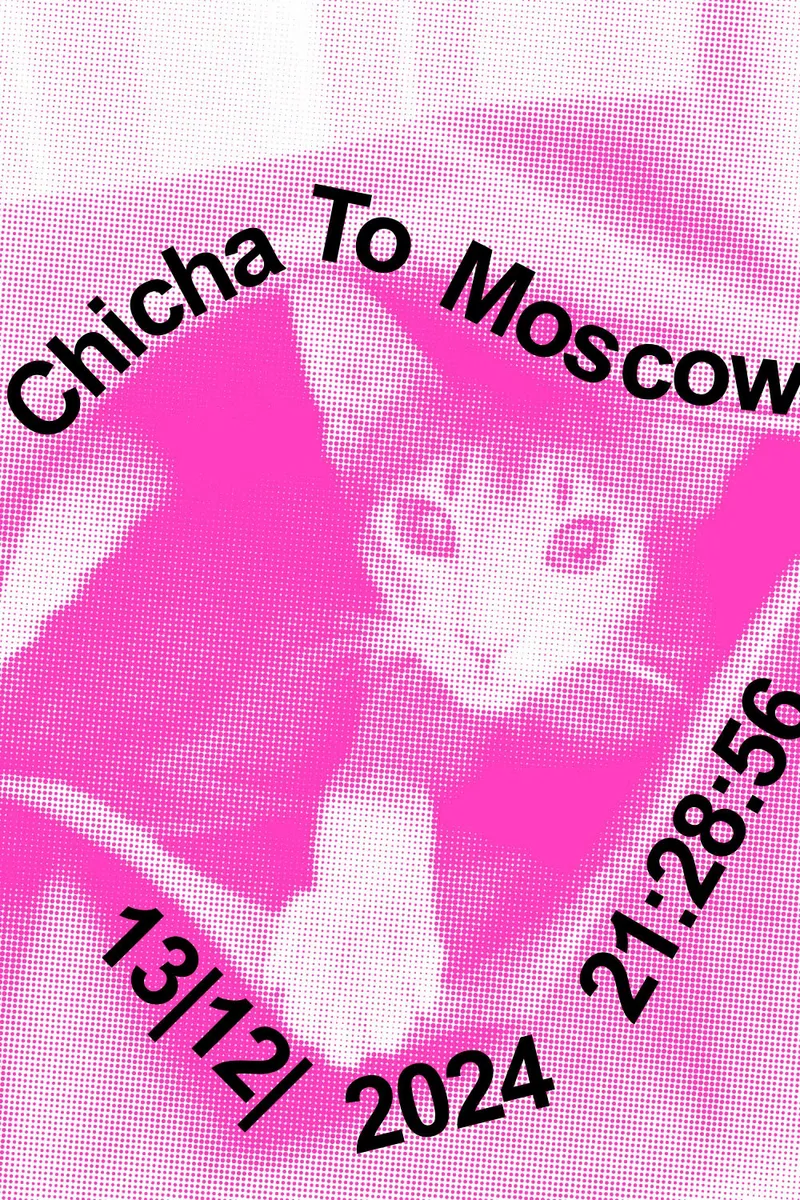Posters with my cat Chicha, image 9