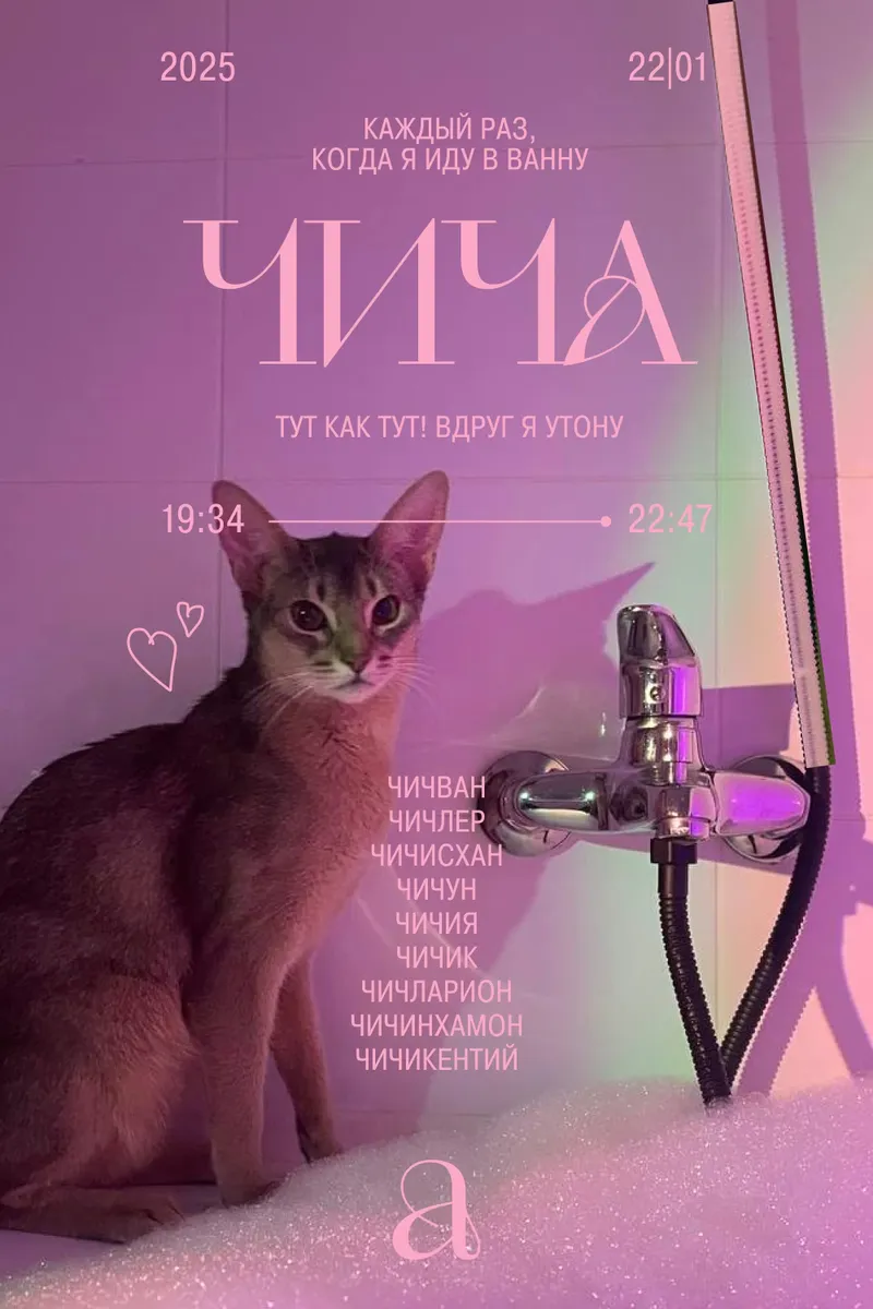 Posters with my cat Chicha, image 10