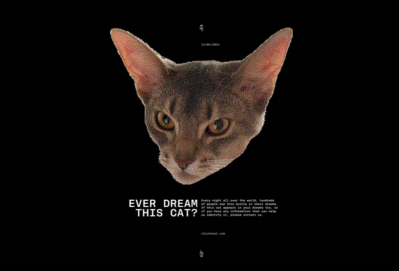 Drop “Ever dream this cat”, image 1