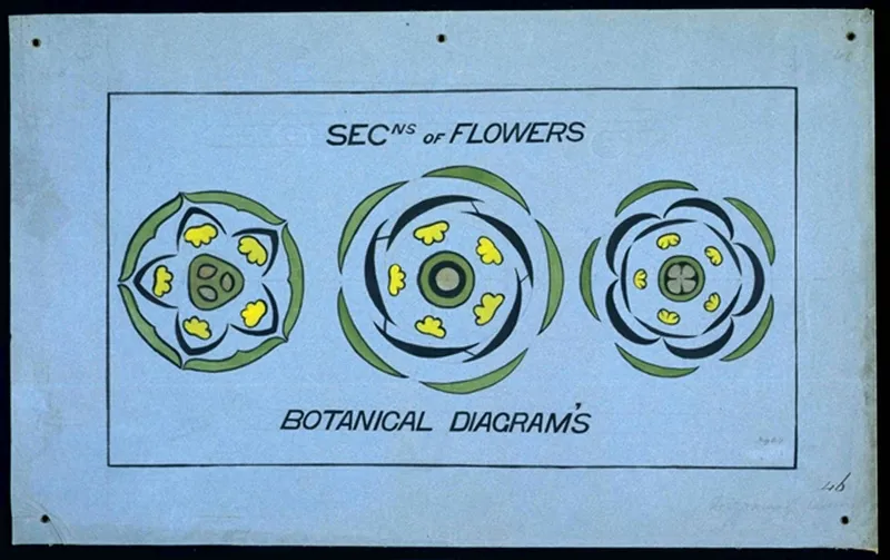 Where do so many designers come from, image 28
