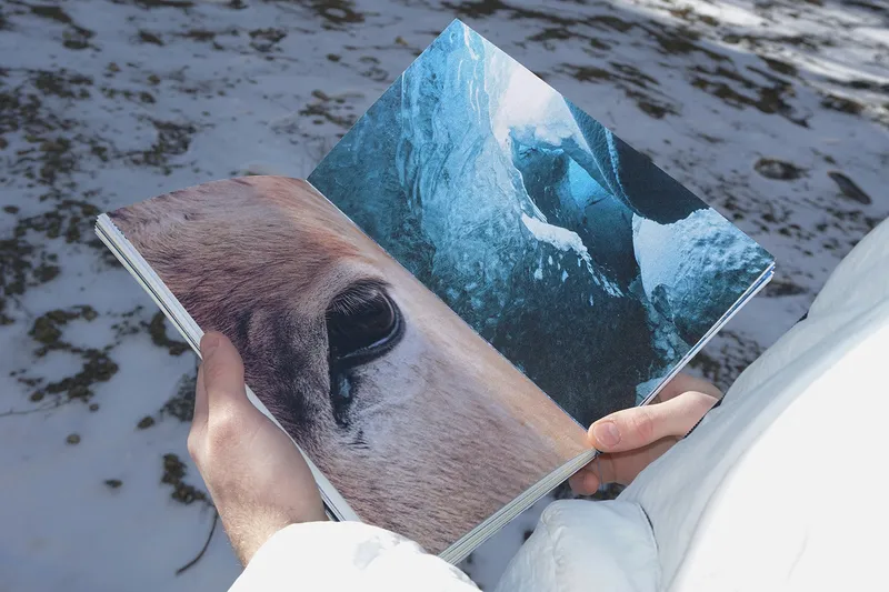 Book “Storytelling of the Nenets Malitsa”, image 16